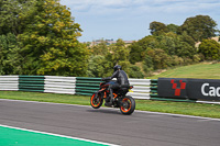 Lower Group Orange Bikes